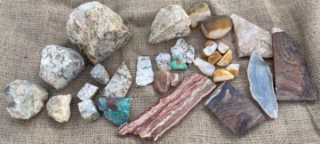 Mesa Spirit Lapidary Shop Rock slices
